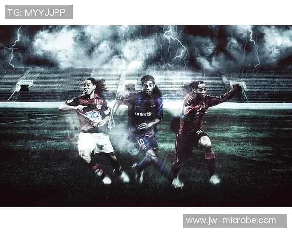 足球明星小罗拼图视频揭秘他的传奇瞬间与精彩人生旅程