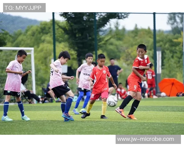 足球明星是否已在新疆展开职业发展与影响力提升的探索之路