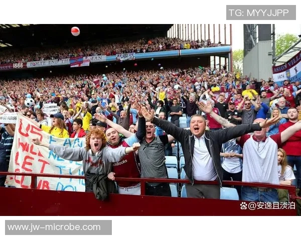 足球明星进球瞬间球迷狂欢反应热烈引发全场欢呼与激情互动