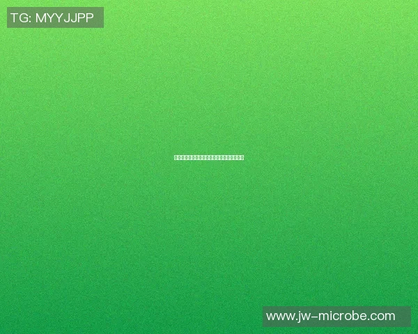 篮球明星智慧语录启示人生的力量与奋斗精神